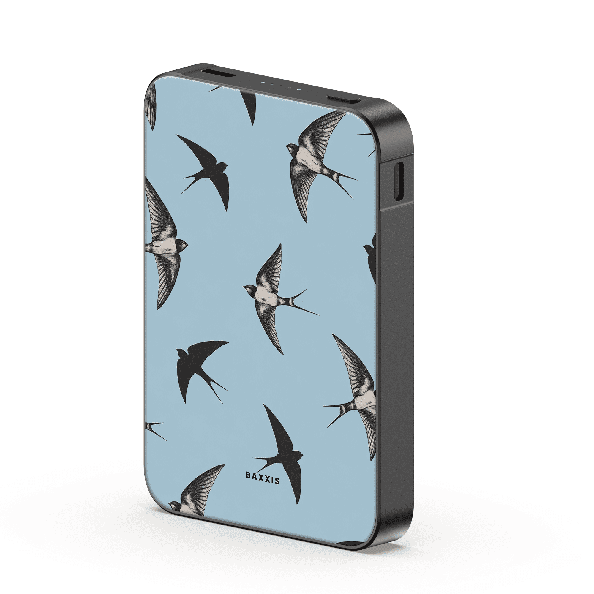 Sky Swallows